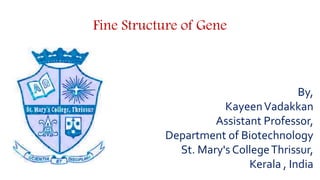 Fine Structure of Gene
By,
KayeenVadakkan
Assistant Professor,
Department of Biotechnology
St. Mary's CollegeThrissur,
Ker...