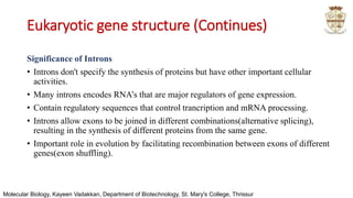 Gene structure | PPTX