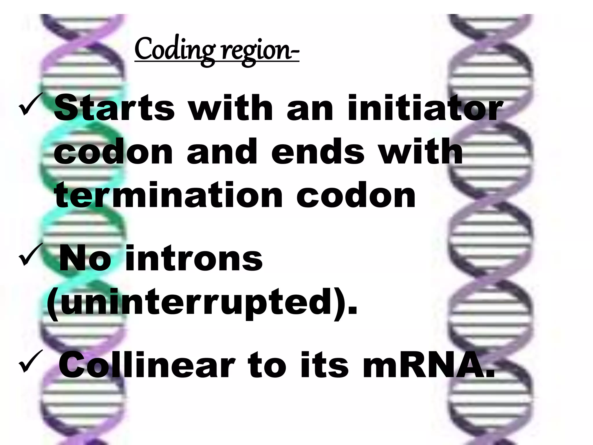 Gene structure and genetic code | PPTX