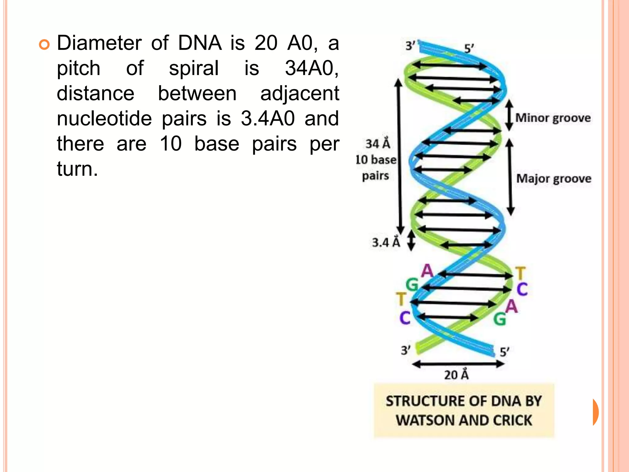 Gene structure and its characteristics | PPTX