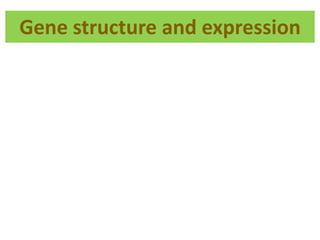 Gene structure and expression
 