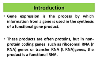 Introduction
• Gene expression is the process by which
information from a gene is used in the synthesis
of a functional gene product.
• These products are often proteins, but in non-
protein coding genes such as ribosomal RNA (r
RNA) genes or transfer RNA (t RNA)genes, the
product is a functional RNA.
 