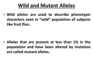 Wild and Mutant Alleles
• Wild alleles are used to describe phenotypic
characters seen in “wild” population of subjects
like fruit flies.
• Alleles that are present at less than 1% in the
population and have been altered by mutation
are called mutant alleles.
 