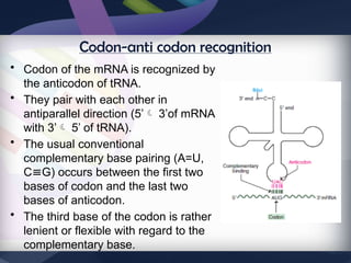 Codn Stop Comprehensive Overview of Gene Structure and the Genetic Code | PPTX