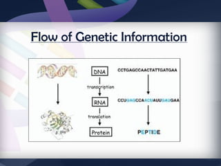 Comprehensive Overview of Gene Structure and the Genetic Code | PPTX