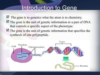 Comprehensive Overview of Gene Structure and the Genetic Code | PPTX