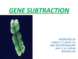 GENE SUBTRACTION PRESENTED BY HARIS.P & ARUN C.S MSC.BIOTECHNOLOGY MAC & AL-AZHAR ERNAKULAM 