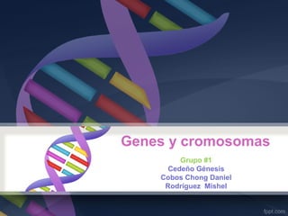 Genes y cromosomas
Grupo #1
Cedeño Génesis
Cobos Chong Daniel
Rodríguez Mishel
 