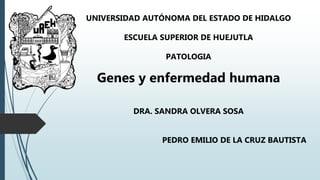 UNIVERSIDAD AUTÓNOMA DEL ESTADO DE HIDALGO
ESCUELA SUPERIOR DE HUEJUTLA
PATOLOGIA
Genes y enfermedad humana
DRA. SANDRA OLVERA SOSA
PEDRO EMILIO DE LA CRUZ BAUTISTA
 