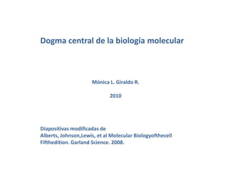 Dogma central de la biología molecular Mónica L. Giraldo R. 2010 Diapositivas modificadas de  Alberts, Johnson,Lewis, et al Molecular Biologyofthecell Fifthedition. Garland Science. 2008.  