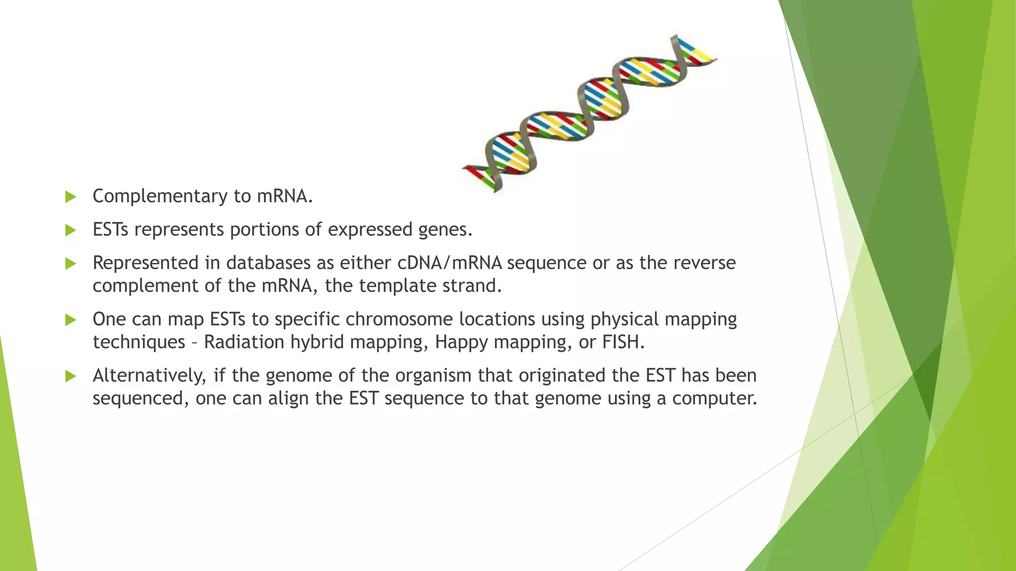  Complementary to mRNA.
 ESTs represents portions of expressed genes.
 Represented in databases as either cDNA/mRNA sequence or as the reverse
complement of the mRNA, the template strand.
 One can map ESTs to specific chromosome locations using physical mapping
techniques – Radiation hybrid mapping, Happy mapping, or FISH.
 Alternatively, if the genome of the organism that originated the EST has been
sequenced, one can align the EST sequence to that genome using a computer.
 