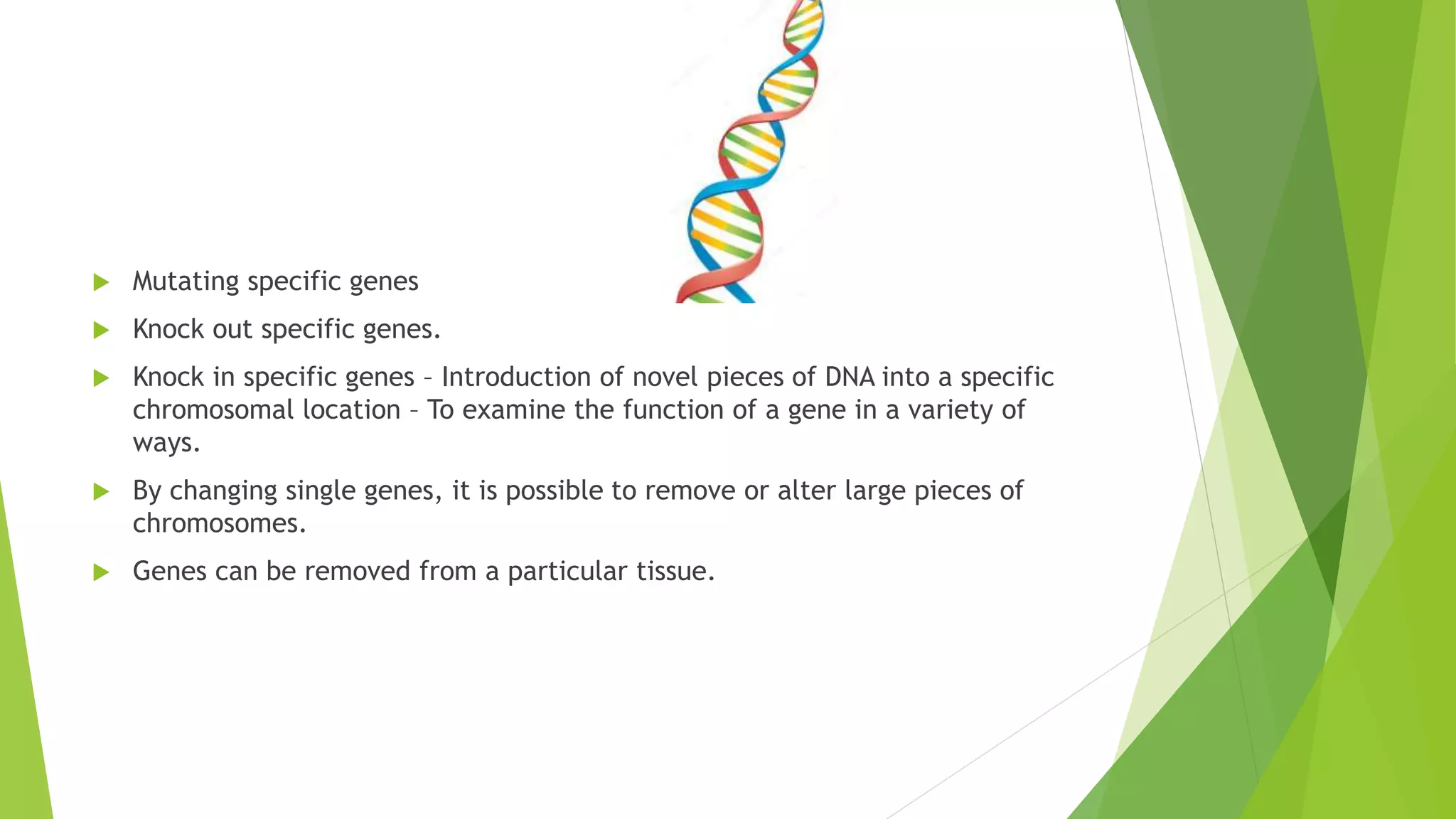  Mutating specific genes
 Knock out specific genes.
 Knock in specific genes – Introduction of novel pieces of DNA into a specific
chromosomal location – To examine the function of a gene in a variety of
ways.
 By changing single genes, it is possible to remove or alter large pieces of
chromosomes.
 Genes can be removed from a particular tissue.
 