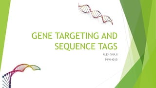 GENE TARGETING AND
SEQUENCE TAGS
ALEN SHAJI
P1914015
 