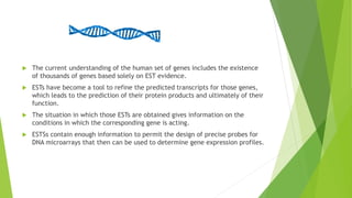  The current understanding of the human set of genes includes the existence
of thousands of genes based solely on EST evidence.
 ESTs have become a tool to refine the predicted transcripts for those genes,
which leads to the prediction of their protein products and ultimately of their
function.
 The situation in which those ESTs are obtained gives information on the
conditions in which the corresponding gene is acting.
 ESTSs contain enough information to permit the design of precise probes for
DNA microarrays that then can be used to determine gene expression profiles.
 
