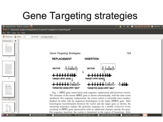 Comprehensive Overview of Gene Targeting Strategies and Techniques in ...