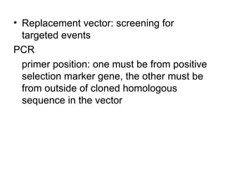 Pcr Target Selection Comprehensive Overview of Gene Targeting Strategies and Techniques in ...