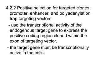Comprehensive Overview of Gene Targeting Strategies and Techniques in ...