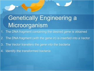 Genetically Engineering a
Microorganism
1. The DNA fragment containing the desired gene is obtained
2. The DNA fragment (with the gene in) is inserted into a Vector
3. The Vector transfers the gene into the bacteria
4. Identify the transformed bacteria
 