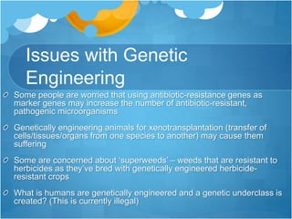 Issues with Genetic
Engineering
Some people are worried that using antibiotic-resistance genes as
marker genes may increase the number of antibiotic-resistant,
pathogenic microorganisms
Genetically engineering animals for xenotransplantation (transfer of
cells/tissues/organs from one species to another) may cause them
suffering
Some are concerned about ‘superweeds’ – weeds that are resistant to
herbicides as they’ve bred with genetically engineered herbicide-
resistant crops
What is humans are genetically engineered and a genetic underclass is
created? (This is currently illegal)
 