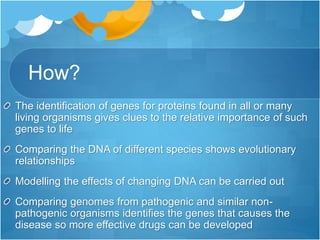 How?
The identification of genes for proteins found in all or many
living organisms gives clues to the relative importance of such
genes to life
Comparing the DNA of different species shows evolutionary
relationships
Modelling the effects of changing DNA can be carried out
Comparing genomes from pathogenic and similar non-
pathogenic organisms identifies the genes that causes the
disease so more effective drugs can be developed
 
