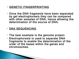 

GENETIC FINGERPRINTING



Once the DNA fragments have been separated
by gel electrophoresis they can be compared
with other samples of DNA, hence allowing the
determination of the source of DNA.



DNA SEQUENCING



The best example is the genome project.
Electrophoresis is used to separate DNA
fragments to enable the determination of the
order of the bases within the genes and
chromosomes.



 