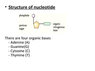 Gene technology | PPT