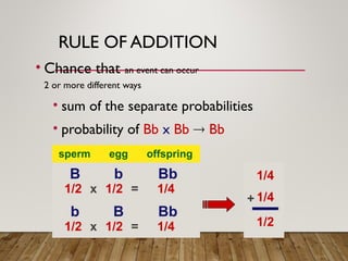 RULE OF ADDITION
• Chance that an event can occur
2 or more different ways
• sum of the separate probabilities
• probability of Bb x Bb  Bb
sperm egg offspring
1/2 1/2 =
x 1/4
B b Bb
1/2 1/2 =
x 1/4
b B Bb
1/4
1/4
+
1/2
 