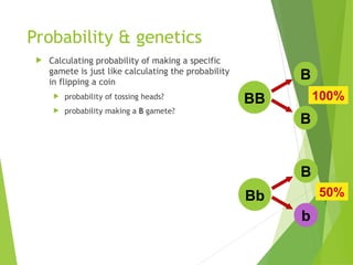 Probability & genetics
 Calculating probability of making a specific
gamete is just like calculating the probability
in flipping a coin
 probability of tossing heads?
 probability making a B gamete?
50%
100%
BB
B
B
Bb
B
b
 