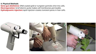 Comprehensive Overview of Gene Therapy: Techniques, Vectors, and ...