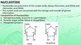 Genetic Ribose Comprehensive Overview of Gene Therapy: Techniques, Vectors, and ...