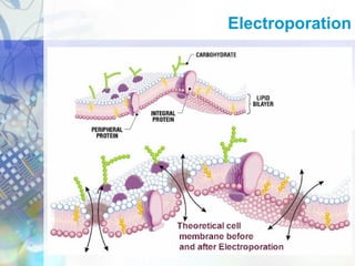 Electroporation
 