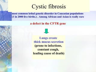 Cystic fibrosis
most common lethal genetic disorder in Caucasian populations
(1 in 2000 live births.) . Among African and Asian is really rare
a defect in the CFTR gene
Lungs create
thick mucus secretion
(prone to infections,
constant cough,
leading cause of death)
 