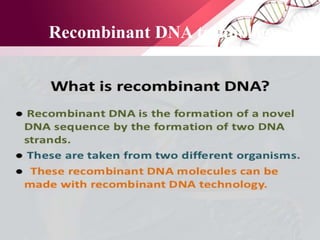 Gene Therapy & R DNA technology | PPTX