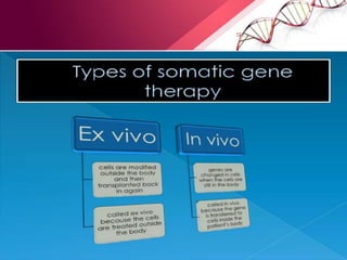 Gene Therapy & R DNA technology | PPTX