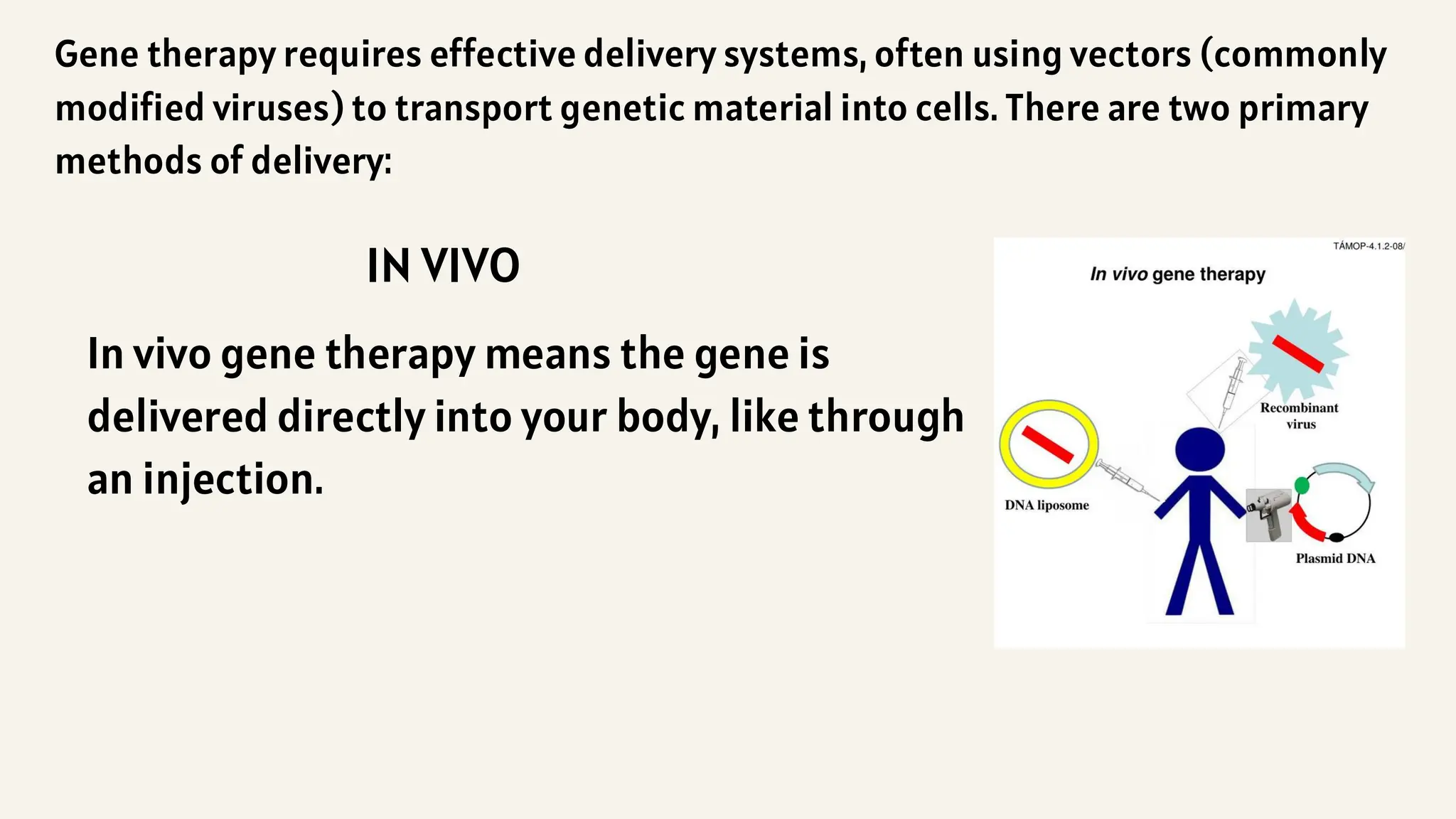 Gene therapy requires effective delivery systems, often using vectors (commonly
modified viruses) to transport genetic material into cells. There are two primary
methods of delivery:
IN VIVO
In vivo gene therapy means the gene is
delivered directly into your body, like through
an injection.
 
