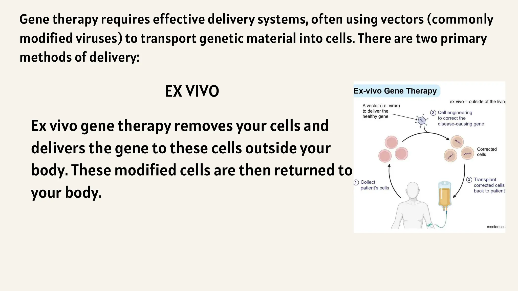 Gene therapy requires effective delivery systems, often using vectors (commonly
modified viruses) to transport genetic material into cells. There are two primary
methods of delivery:
EX VIVO
Ex vivo gene therapy removes your cells and
delivers the gene to these cells outside your
body. These modified cells are then returned to
your body.
 