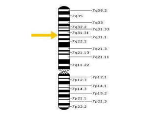 Gene therapy | PPTX