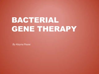 BACTERIAL
GENE THERAPY
By Alayna Pease
 