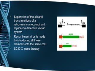 • Separation of the cis and
  trans functions of a
  retrovirus in a recombinant,
  replication defective vector
  system
• Recombinant virus is made
  by introducing all these
  elements into the same cell
• SCID-X gene therapy
 