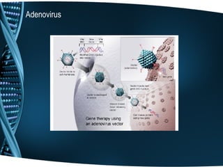 Adenovirus
 