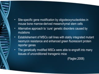 • Site-specific gene modification by oligodeoxynucleotides in
  mouse bone marrow-derived mesenchymal stem cells
• Alternative approach to ‘cure’ genetic disorders caused by
  mutations
• Establishement of MSCs cell lines with stably integrated mutant
  neomycin resistance and enhanced green fluorescent protein
  reporter genes
• The genetically modified MSCs were able to engraft into many
  tissues of unconditioned transgenic mice
                                             (Flagler,2008)
 