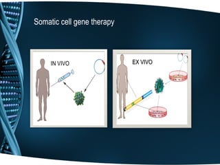 Somatic cell gene therapy



     IN VIVO                EX VIVO
 