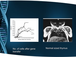 No. of cells after gene   Normal sized thymus
transfer
 