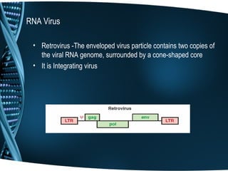 RNA Virus

 • Retrovirus -The enveloped virus particle contains two copies of
   the viral RNA genome, surrounded by a cone-shaped core
 • It is Integrating virus
 