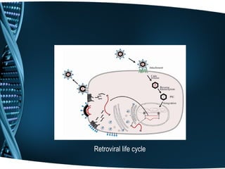 Retroviral life cycle
 