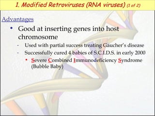 1. Modified Retroviruses (RNA viruses)

(1 of 2)

Advantages

• Good at inserting genes into host
chromosome
-

Used with partial success treating Gaucher’s disease
Successfully cured 4 babies of S.C.I.D.S. in early 2000
• Severe Combined Immunodeficiency Syndrome
(Bubble Baby)

 