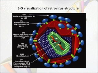 3-D visualization of retrovirus structure.

 