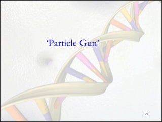 ‘Particle Gun’

27

 