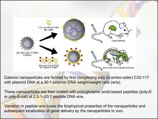 Cationic nanoparticles are formed by first complexing poly (b-amino ester) C32-117
with plasmid DNA at a 30:1 polymer:DNA weight/weight ratio (w/w).
These nanoparticles are then coated with poly(glutamic acid)-based peptides (poly-E
or poly-E-cat) at 2.5:1–20:1 peptide:DNA w/w.
Variation in peptide w/w tunes the biophysical properties of the nanoparticles and
subsequent localization of gene delivery by the nanoparticles in vivo.

 