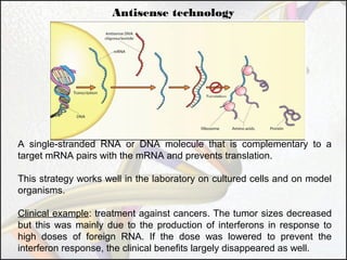 Antisense technology

A single-stranded RNA or DNA molecule that is complementary to a
target mRNA pairs with the mRNA and prevents translation.
This strategy works well in the laboratory on cultured cells and on model
organisms.
Clinical example: treatment against cancers. The tumor sizes decreased
but this was mainly due to the production of interferons in response to
high doses of foreign RNA. If the dose was lowered to prevent the
interferon response, the clinical benefits largely disappeared as well.

 
